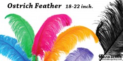plume 18-22-ostrich feather